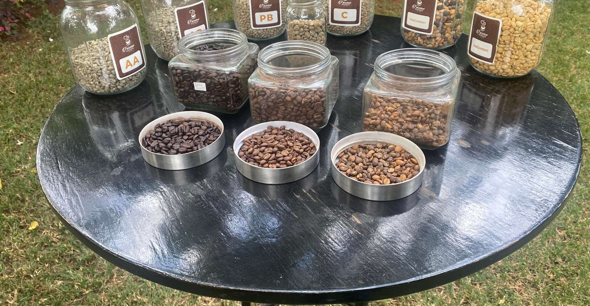 Nairobi, Kahve Fabrikası ve Çiftlik Turu - Hizvo