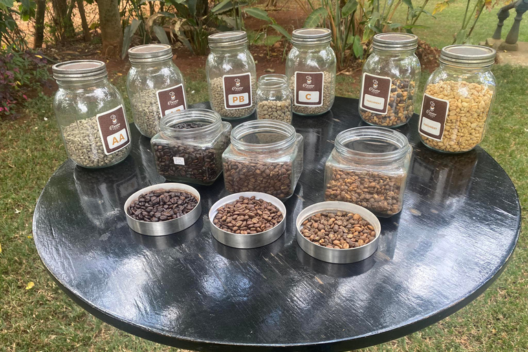 Nairobi: Coffee Factory and Farm Tour with Transfer