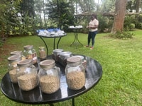 Visita a Nairobi, Fábrica de Café y Granja con traslado - Hizvo