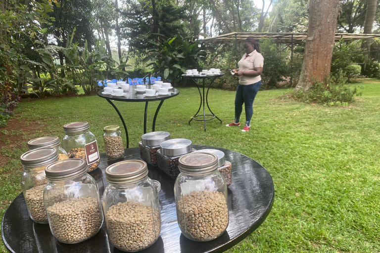 Nairobi : Visite d'une usine et d'une ferme de café avec transfert