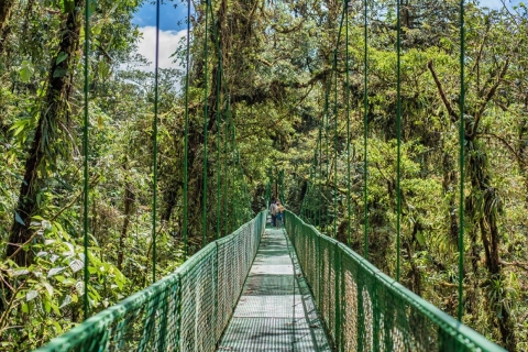 Monteverde: Hängebrücken, Faultiere und Schmetterlinge