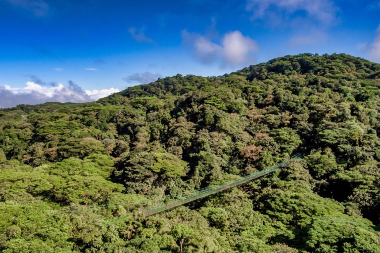 Monteverde: Hängebrücken, Faultiere und Schmetterlinge