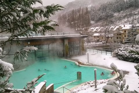 Emilia-Romagna: Euroterme Resort thermal pool Ticket