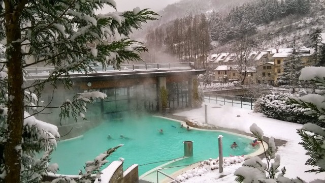 Visit Emilia-Romagna Euroterme Resort thermal pool Ticket in Cesenatico