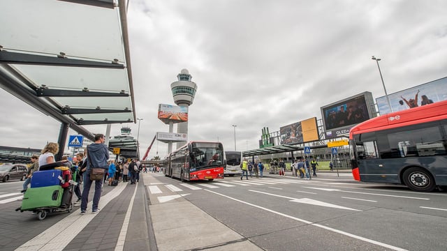 Transfert direct en bus de Schiphol vers le centre-ville de Haarlem (aller-retour)