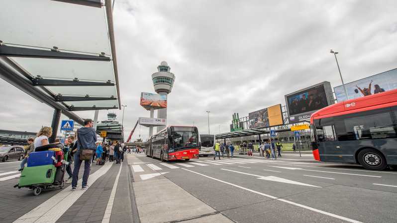 Haarlem: Airport Express Bus Transfer to the City Center