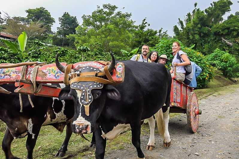 Monteverde: Excursión de un día a Café, Chocolate y Caña de Azúcar