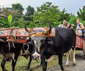 Monteverde: gita di un giorno al caffè, al cioccolato e alla canna da zucchero