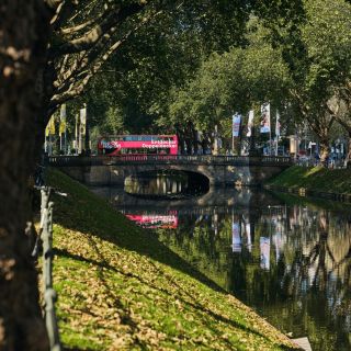 Düsseldorf: City Highlights Guided Walking Tour