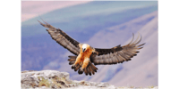 From Underberg, Overnight Lesotho Trip with Meals & Lodging - Housity