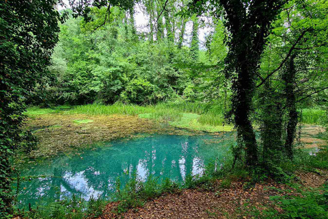 Von Sofia aus: Wanderung am Fluss Zlatna Panega mit Besuch der Quellen