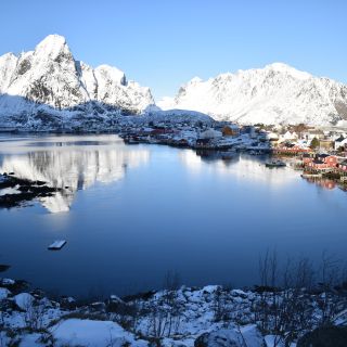 Van Leknes: privétour Lofoten-eilanden met transfer