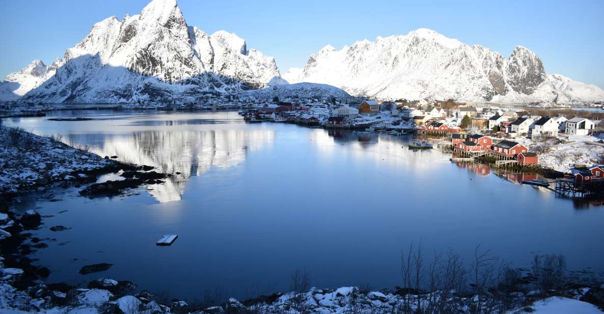 From Leknes: Private Lofoten Islands Tour with Transfer | GetYourGuide