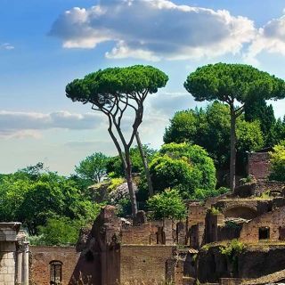 Het Forum Romanum: een meeslepende, zelfgeleide audiotour