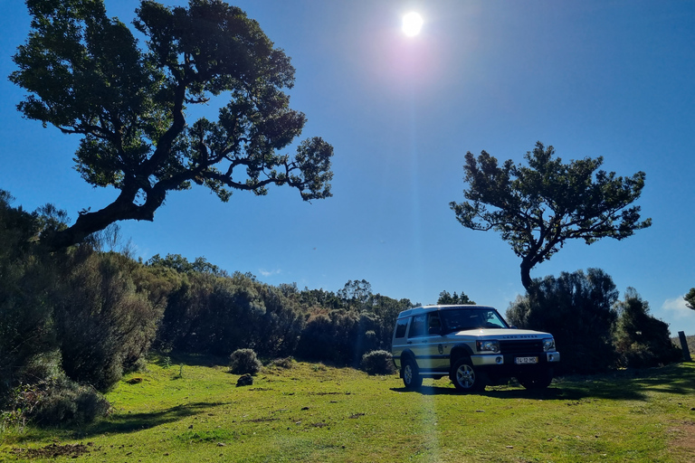 Madeira: SkyWalk, Fanal, naturliga pooler 4x4 Jeeptur