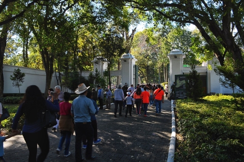 Mexico : points forts du centre-ville et visite de la résidence Los Pinos
