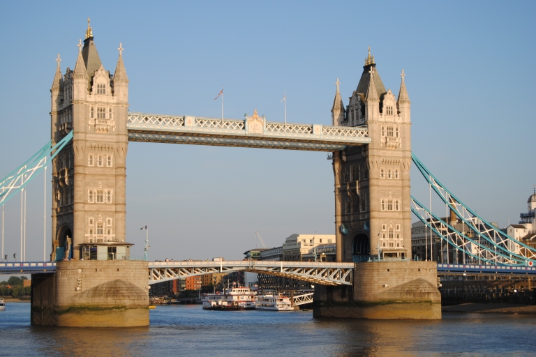 London: 4-Hour Private Walking Sightseeing TourLondon: 8 uur Private Sightseeing Tour
