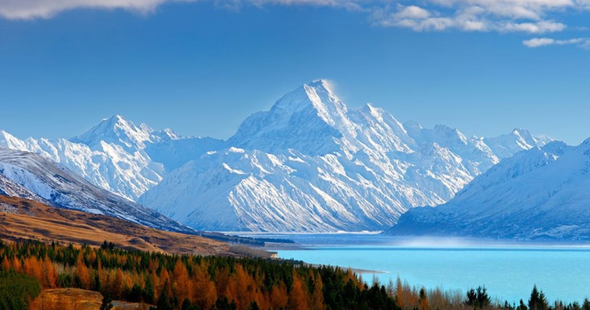 Christchurch: to Mount Cook via Lake Tekapo 1-Way Tour | GetYourGuide