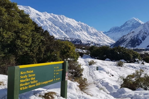 De Christchurch: transfert au mont Cook avec visite du lac Tekapo