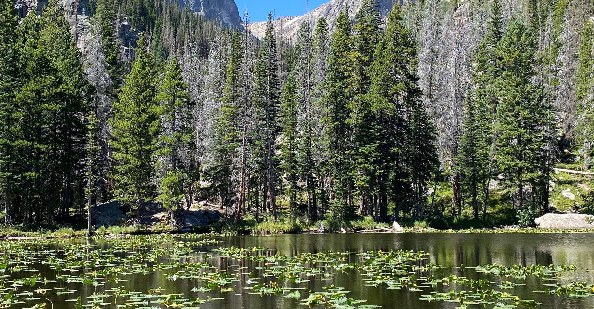 From Denver, Rocky Mountains Jeep Tour with Picnic Lunch - Housity