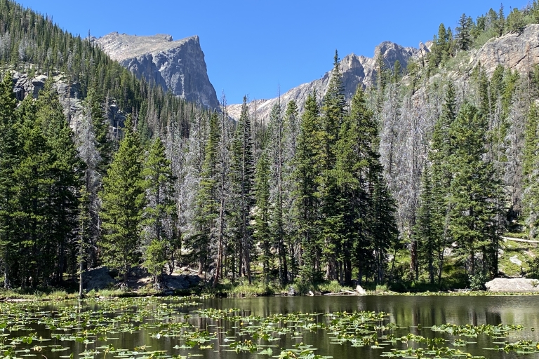 From Denver: Rocky Mountains Jeep Tour with Picnic Lunch Private Tour with Pickup