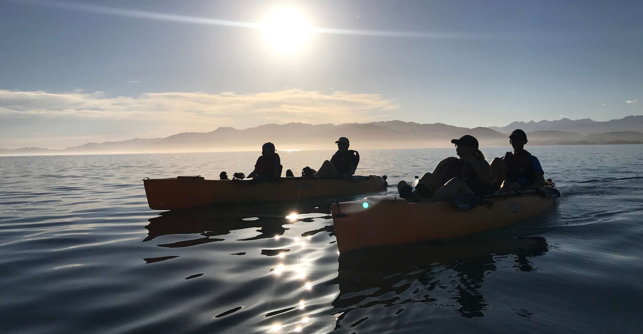 Kaikoura, Seal-Watching Pedal Kayak Tour - Housity