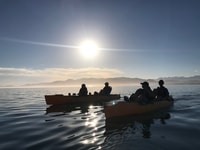 Kaikoura, Seal-Watching Pedal Kayak Tour - Housity