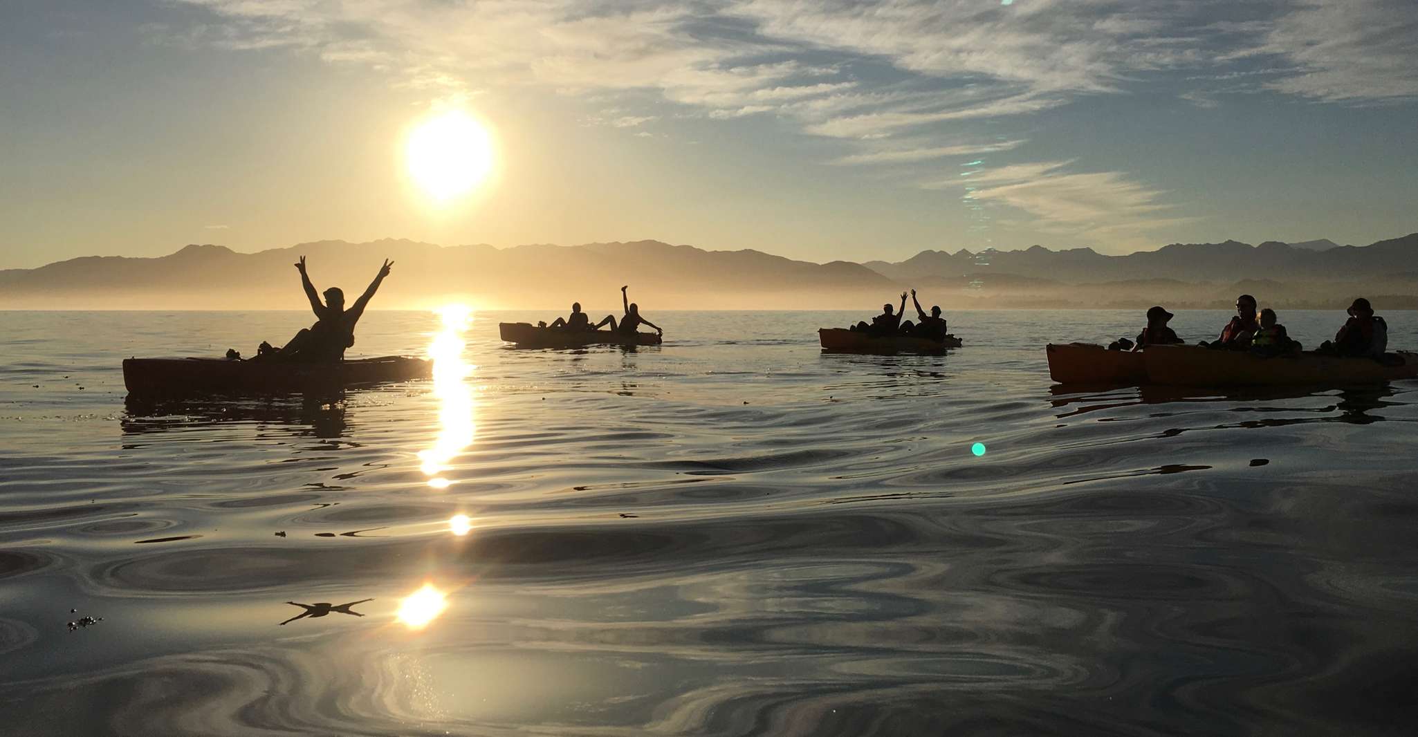 Kaikoura, Seal-Watching Pedal Kayak Tour - Housity