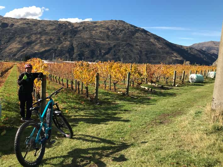 wine tour queenstown bike