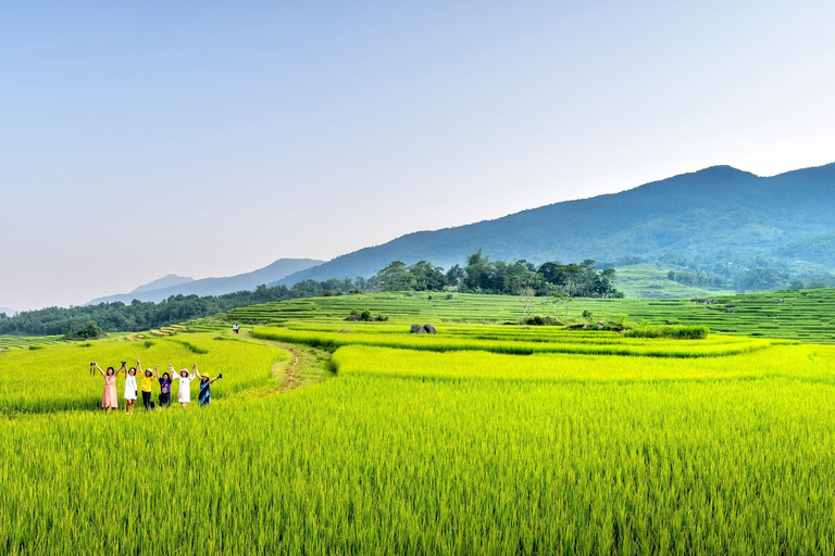 Experiencia de senderismo en Bali: tour en grupo pequeño por las terrazas de arrozGrupo compartido