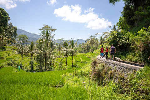 Experiencia de senderismo en Bali: tour en grupo pequeño por las terrazas de arrozGrupo compartido