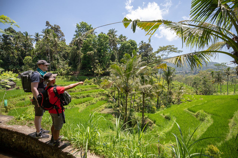 Experiencia de senderismo en Bali: tour en grupo pequeño por las terrazas de arrozGrupo compartido