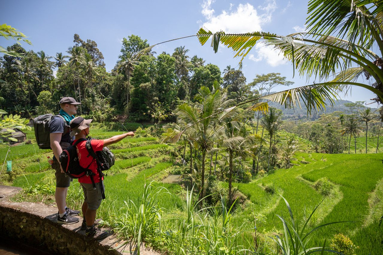 Hiking Experience in Bali: Rice Terraces Small-Group Tour Shared Group