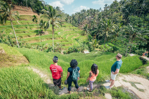 Experiencia de senderismo en Bali: tour en grupo pequeño por las terrazas de arrozGrupo compartido