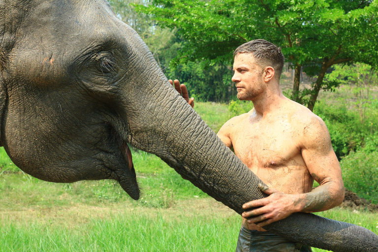 Phuket : programme d'alimentation des éléphants