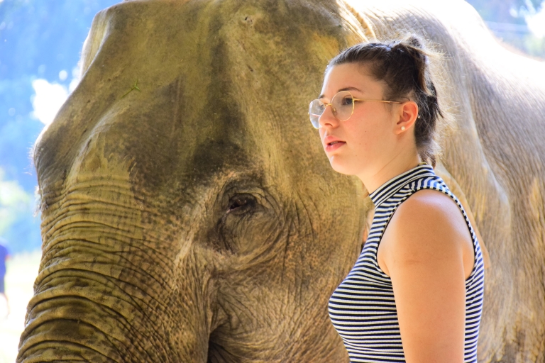 Phuket: programa de alimentación de elefantes