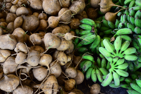 Phuket: programa de alimentación de elefantes