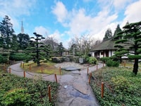 Hamburg, Pflanzen und Blumen Park Smartphone Spiel Quest - Hizvo
