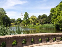 Hamburg, Pflanzen und Blumen Park Smartphone Spiel Quest - Hizvo