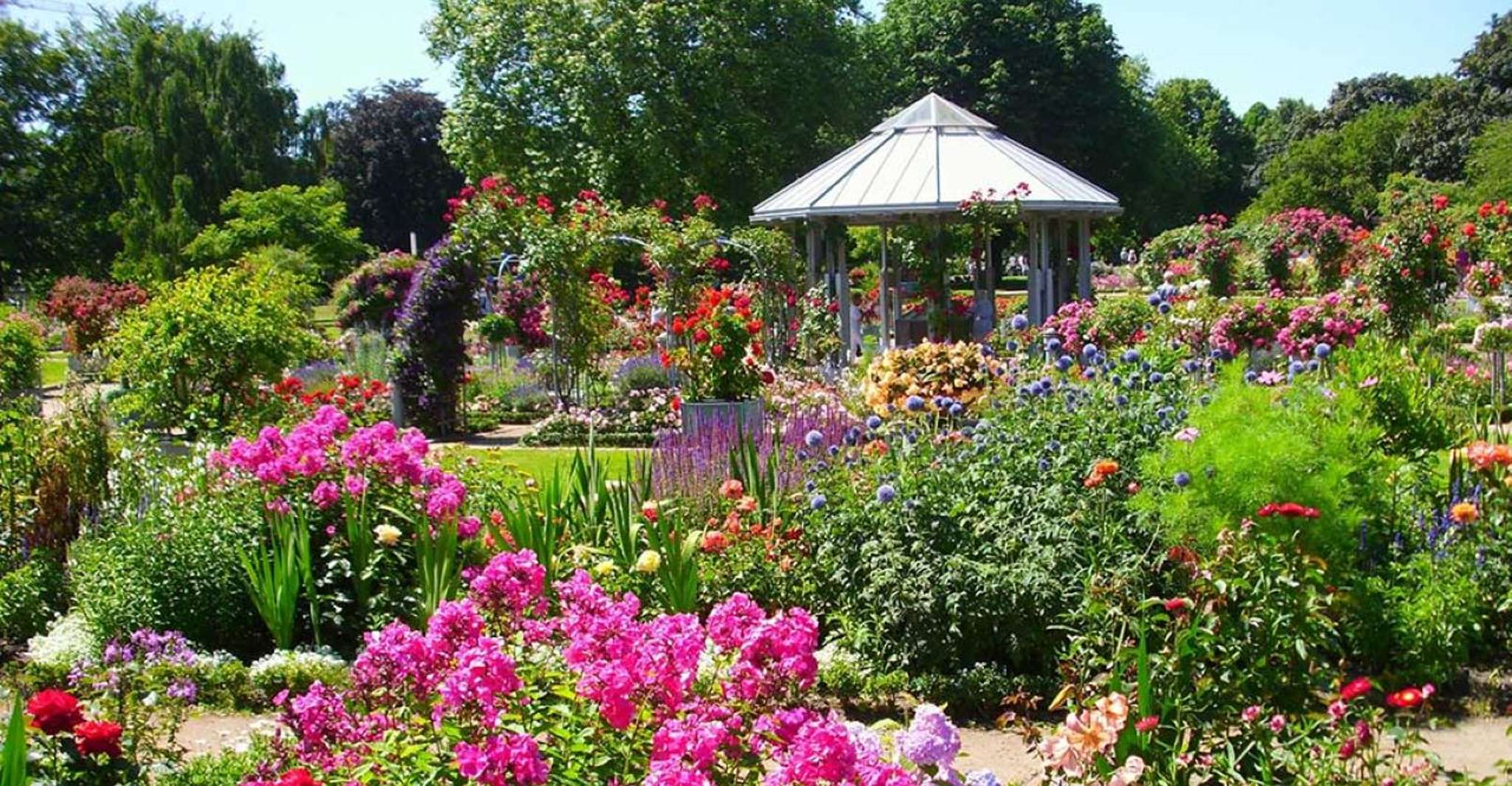 Hamburg, Pflanzen und Blumen Park Smartphone Spiel Quest - Hizvo