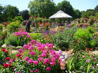 Hamburg, Pflanzen und Blumen Park Smartphone Spiel Quest - Hizvo