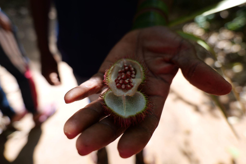 Sansibar: Stone Town und Gewürzfarm mit FührungSansibar: Führung durch Stone Town und eine Gewürzfarm
