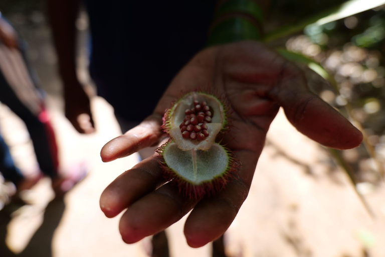Sansibar: Stone Town und Gewürzfarm mit FührungSansibar: Führung durch Stone Town und eine Gewürzfarm
