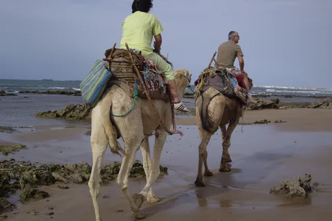 From Essaouira: Camel Tour with Overnight Stay in a tent