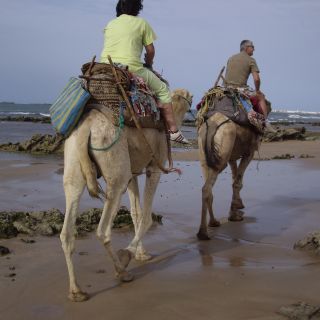 From Essaouira: Diabat Camel Tour with Overnight Tent Stay