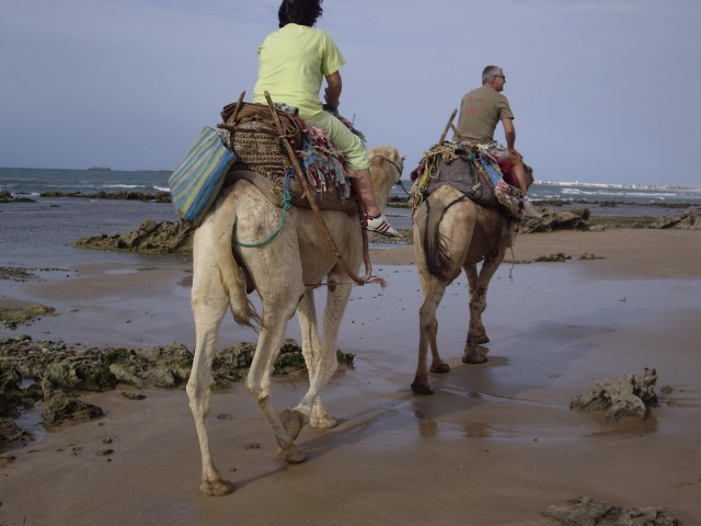Visit From Essaouira Camel Tour with Overnight Stay in a tent in Essaouira