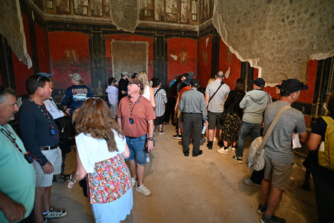 Pompeii: Group Guided Tour with an Expert Archaeologist Group Tour with Entrance Ticket Included