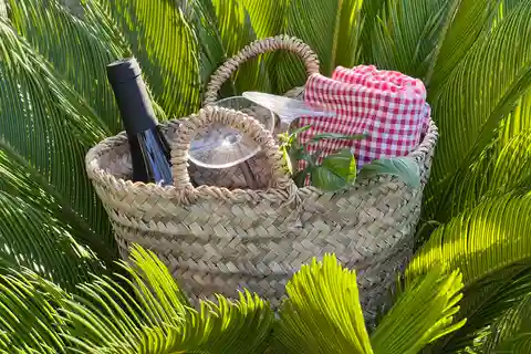 Agrigento: Picnic Experience ai Giardini della Valle dei Templi