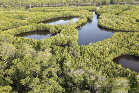 Miami: Stadtrundfahrt mit optionaler Kreuzfahrt und Eintritt in die Everglades7-stündige Stadtrundfahrt mit Bootsfahrt und Eintritt in die Everglades