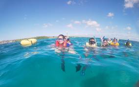 Discover Snorkeling Mangel Halto Beach